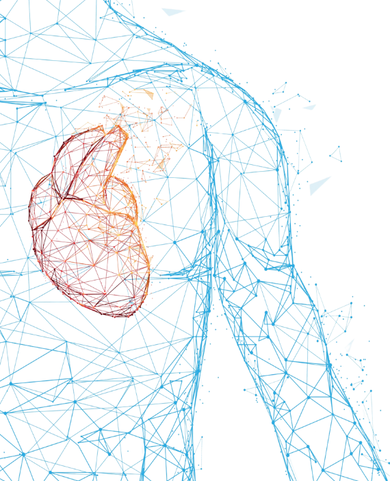 4-oji Lietuvos plautinės hipertenzijos konferencija 4-oji Lietuvos plautinės hipertenzijos konferencija